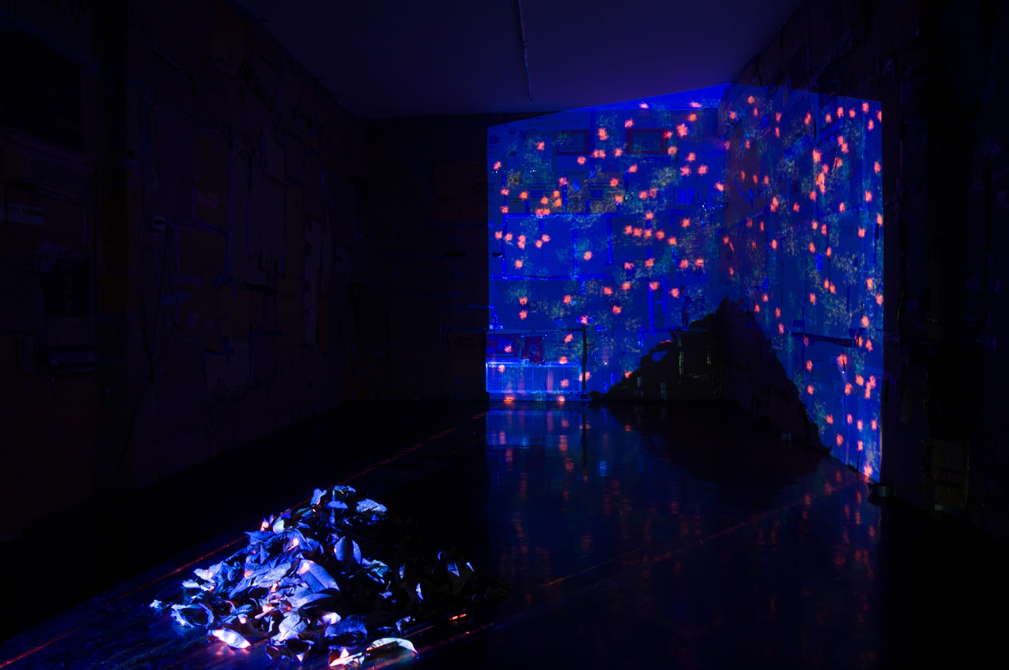 Contemplations Reverse install view 01